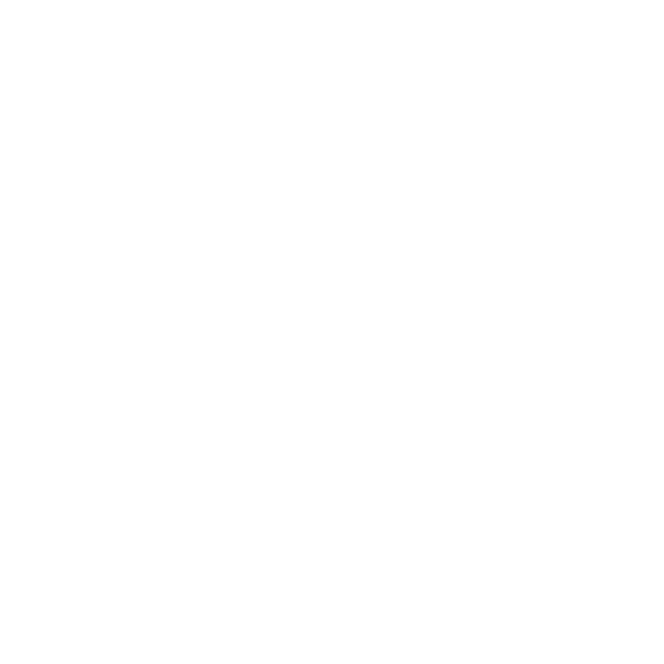common.guaranteed_satisfaction